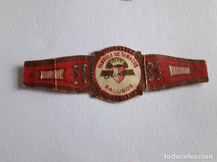 Collection cigar bands: vitola de puro, fabrica de tabacos, Alvaro, Saludos.