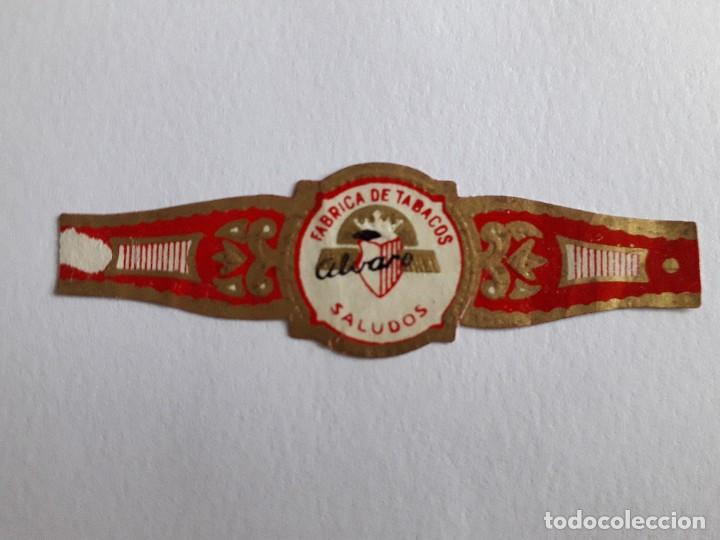 Collection cigar bands: vitola de puro, fabrica de tabacos, Alvaro, Saludos.