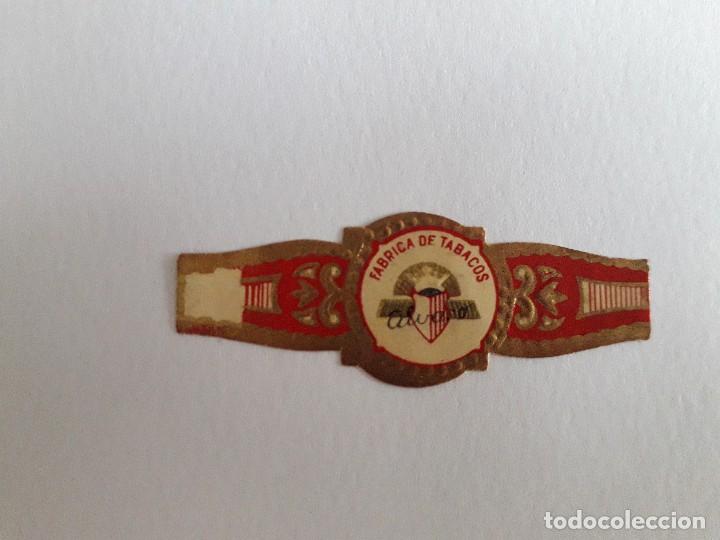 Collection cigar bands: vitola de puro, f&aacute;brica de tabacos, Alvaro.