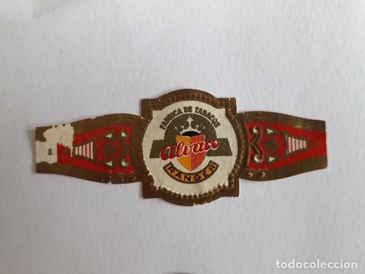 Collection cigar bands: vitola de puro, f&aacute;brica de tabacos, Alvaro, Ranger.
