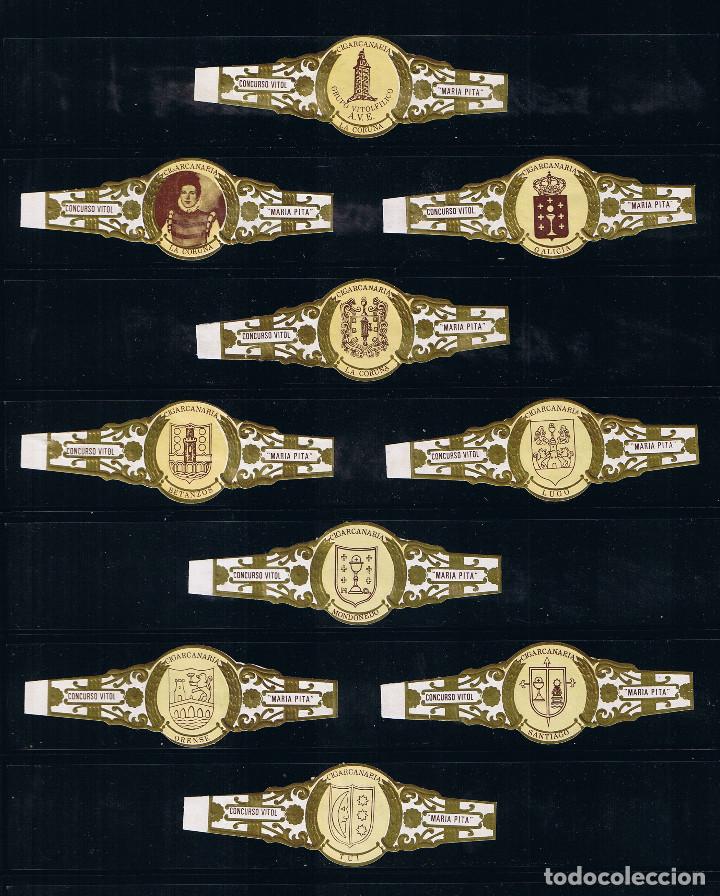 Vitolas de colecci&oacute;n: CIGARCANARIA.- CONCURSO VITOLFILICO NACIONAL MARIA PITA 1991.- 10 VITOLAS (SERIE COMPLETA)