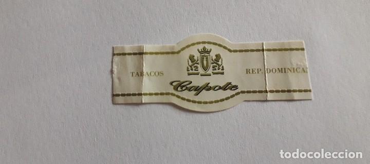 Collection cigar bands: vitola de puro, tabacos capote.