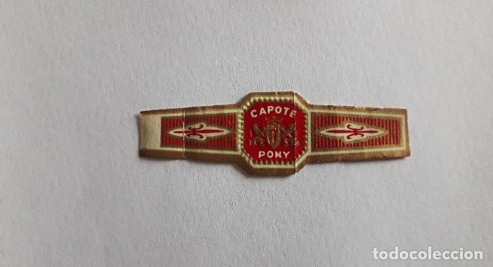 Collection cigar bands: vitola de puro, capote, pony