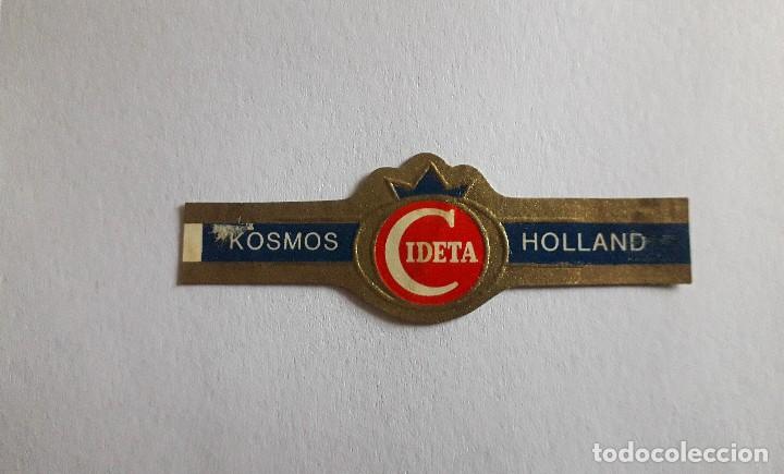 Collection cigar bands: vitola de puro, cideta, kosmos Holland.