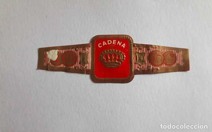 Collection cigar bands: vitola de puro, Cadena