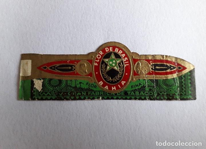 Collection cigar bands: vitola de puro, Flor de Brasil, bahia.