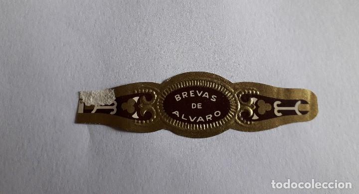 Collection cigar bands: vitola de puro, brevas de Alvaro.