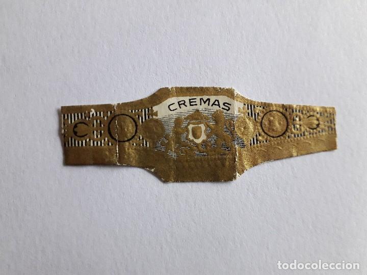 Collection cigar bands: vitola de puro, cremas.