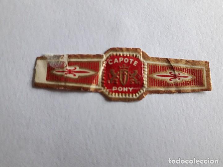 Collection cigar bands: vitola de puro, capote, pony