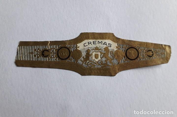 Collection cigar bands: vitola de puro, cremas.