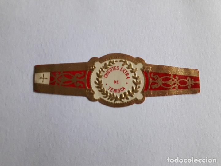 Collection cigar bands: vitola de puro, chicotes extra de Tenisca.