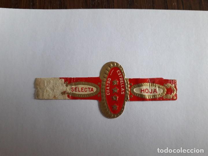 An&eacute;is de charuto de cole&ccedil;&atilde;o: vitola de puro, Cuatro estrellas, hoja selecta.