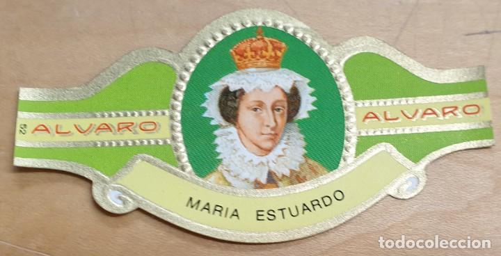 Vitolas de colecci&oacute;n: VITOLA ALVARO SERIE MUJERES FAMOSAS EN LA HISTORIA MAR&Iacute;A ESTUARDO ESCOCIA N&ordm; 52 6,5X3,5 CM.