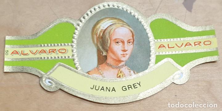 Vitolas de colecci&oacute;n: VITOLA ALVARO SERIE MUJERES FAMOSAS EN LA HISTORIA JUANA GREY INGLATERRA N&ordm; 50 6,5X3,5 CM.