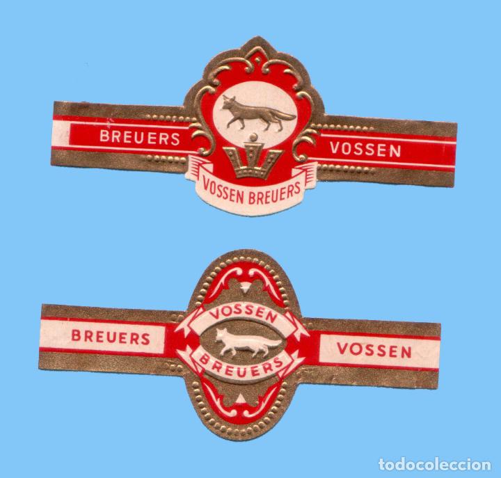 Vitolas de colecci&oacute;n: 2 VITOLAS ANTIGUAS - MARCA VOSSEN BREUERS (HOLANDA) - TEM&Aacute;TICA FAUNA (ZORRO)