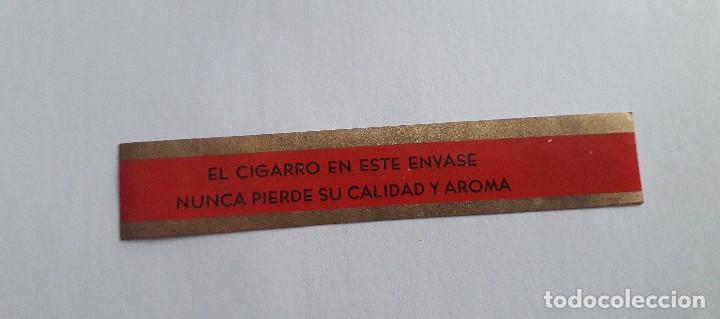 An&eacute;is de charuto de cole&ccedil;&atilde;o: vitola de puro, El cigarro en este envase nunca pierde su calidad y aroma.