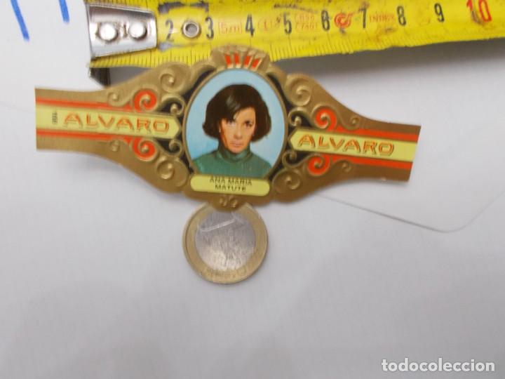 An&eacute;is de charuto de cole&ccedil;&atilde;o: &iexcl;&iexcl; VITOLA &iexcl;&iexcl; ALVARO ANA MARIA MATUTE