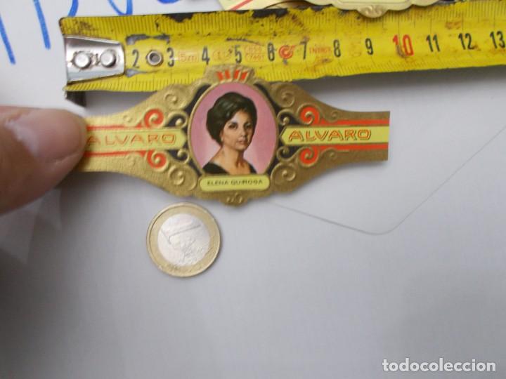 An&eacute;is de charuto de cole&ccedil;&atilde;o: &iexcl;&iexcl; VITOLA &iexcl;&iexcl; ALVARO ELENA QUIROGO