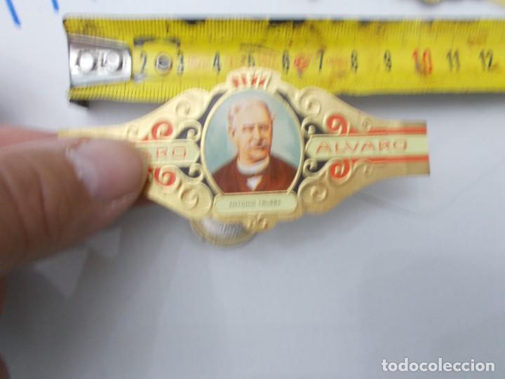 An&eacute;is de charuto de cole&ccedil;&atilde;o: &iexcl;&iexcl; VITOLA &iexcl;&iexcl; ALVARO ALFONSO TRUEBA