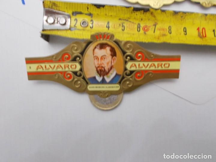 An&eacute;is de charuto de cole&ccedil;&atilde;o: &iexcl;&iexcl; VITOLA &iexcl;&iexcl; ALVARO JUAN BOSCAN ALMOGAVER