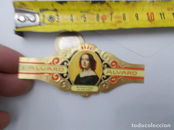 An&eacute;is de charuto de cole&ccedil;&atilde;o: &iexcl;&iexcl; VITOLA &iexcl;&iexcl; ALVARO GELTRUDIS GOMEZ DE AVELLANADA
