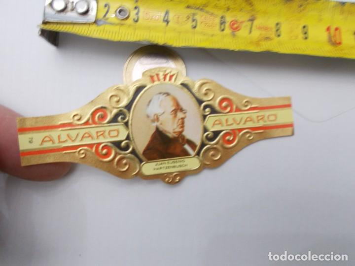 An&eacute;is de charuto de cole&ccedil;&atilde;o: &iexcl;&iexcl; VITOLA &iexcl;&iexcl; ALVARO JUAN EUGENIO HARTZENBUSCH