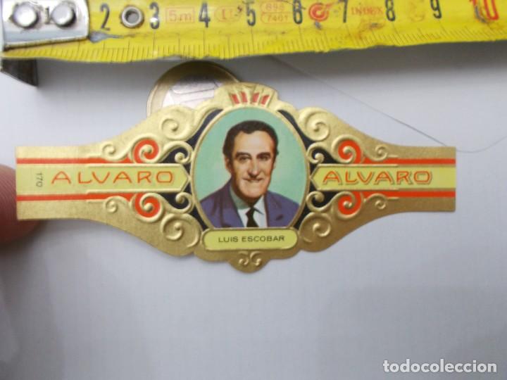 An&eacute;is de charuto de cole&ccedil;&atilde;o: &iexcl;&iexcl; VITOLA &iexcl;&iexcl; ALVARO LUIS ESCOBAR