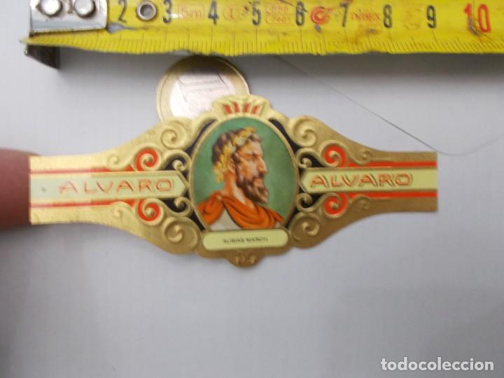 An&eacute;is de charuto de cole&ccedil;&atilde;o: &iexcl;&iexcl; VITOLA &iexcl;&iexcl; ALVARO AUISIAS MARCH
