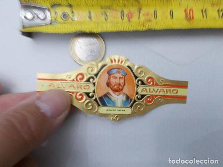 An&eacute;is de charuto de cole&ccedil;&atilde;o: &iexcl;&iexcl; VITOLA &iexcl;&iexcl; ALVARO JUAN DEL ENCINA