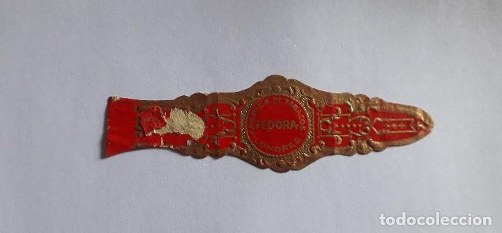 Bagues de cigare de collection: vitola de puro, f&aacute;brica de tabacos, Fedora. Londres.