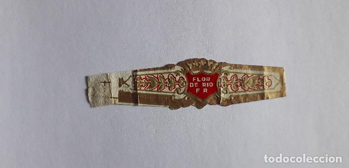 Bagues de cigare de collection: vitola de puro, flor de rio F R.