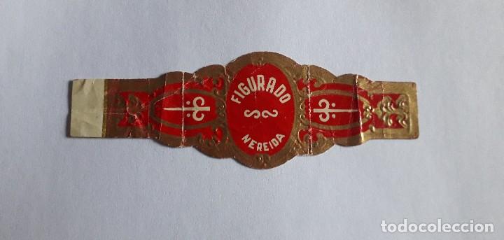 Bagues de cigare de collection: vitola de puro, Figurado, Nereida.
