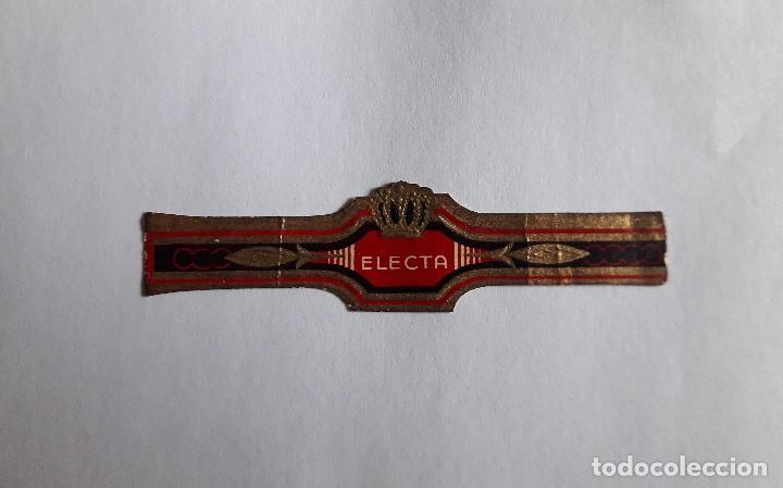 Bagues de cigare de collection: vitola de puro, Electa.