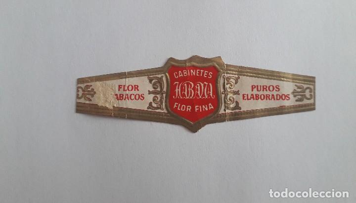 Bagues de cigare de collection: vitola de puro, cabinetes Habana, flor fina.