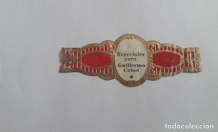 Bagues de cigare de collection: vitola de puro, especiales para Guillermo Cabot.