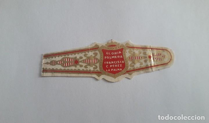 Bagues de cigare de collection: vitola de puro, gloria Palmera, Francisco C. P&eacute;rez. La Palma.