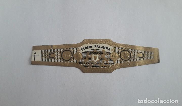 Bagues de cigare de collection: vitola de puro, gloria Palmera.
