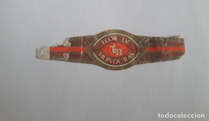 Bagues de cigare de collection: vitola de puro, Flor de Honduras.
