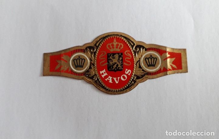Bagues de cigare de collection: vitola de puro, Havos.