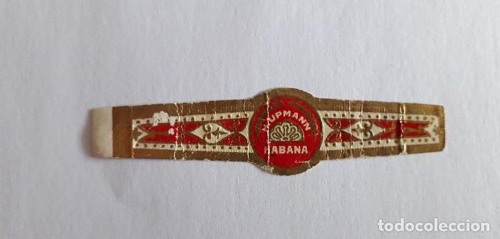 Vitolas de colecci&oacute;n: vitola de puro, Hupmann, Habana