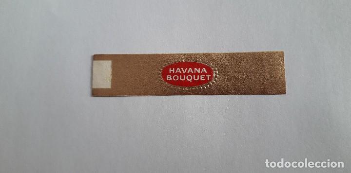 Vitolas de colecci&oacute;n: vitola de puro, Havana bouquet.