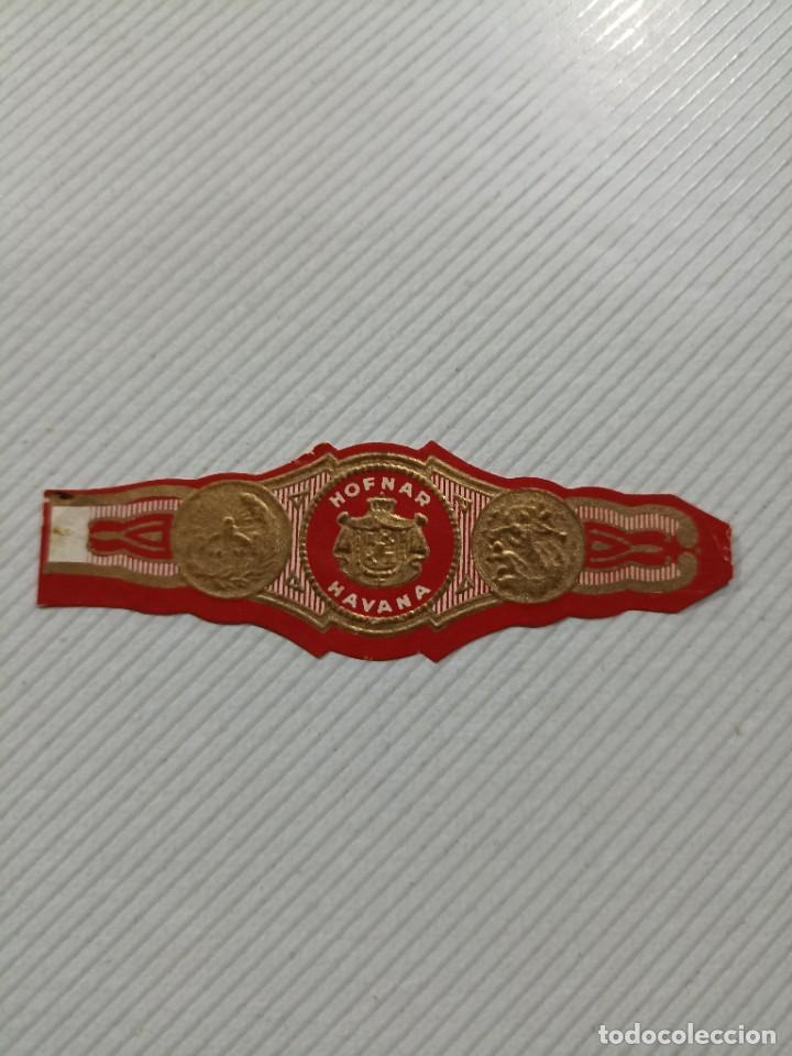 Vitolas de colecci&oacute;n: Vitola hofnar havana