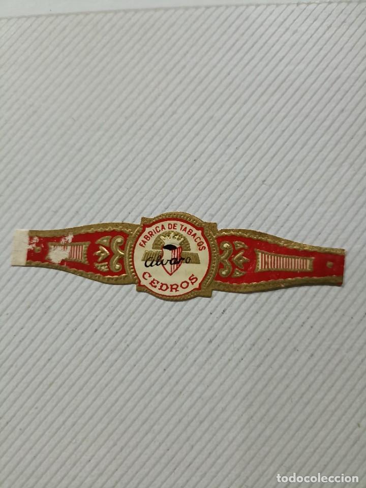 Vitolas de colecci&oacute;n: Vitola Alvaro cedros
