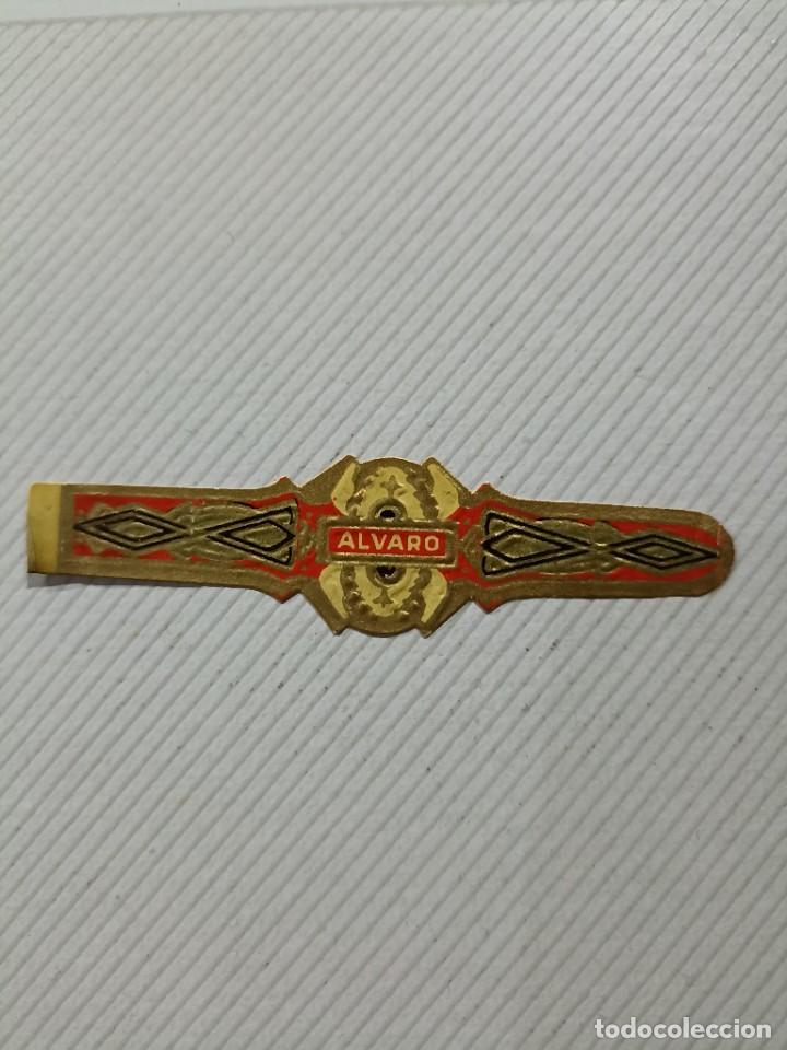 Vitolas de colecci&oacute;n: Vitola Alvaro