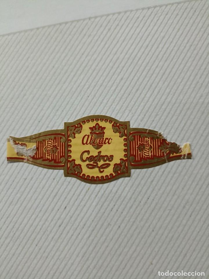 Vitolas de colecci&oacute;n: Vitola Alvaro cedros