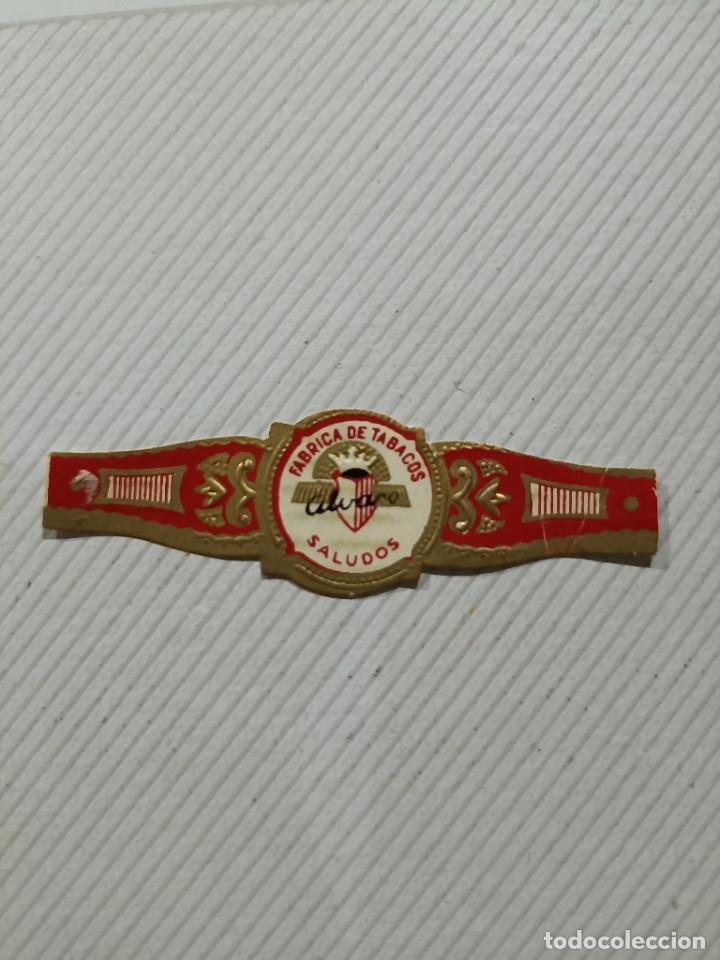 Vitolas de colecci&oacute;n: Vitola Alvaro saludos