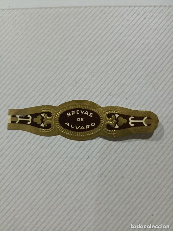 Vitolas de colecci&oacute;n: Vitola Brevas de Alvaro