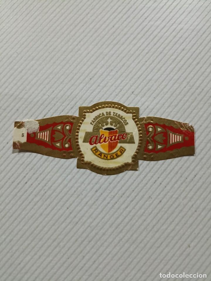 Vitolas de colecci&oacute;n: Vitola Alvaro Ranger