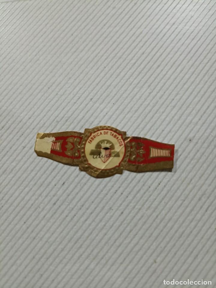 Vitolas de colecci&oacute;n: Vitola Alvaro