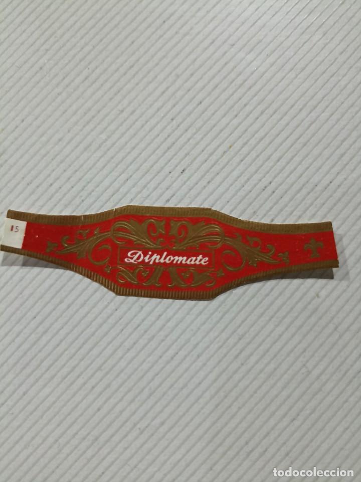 Vitolas de colecci&oacute;n: Vitola Diplomate